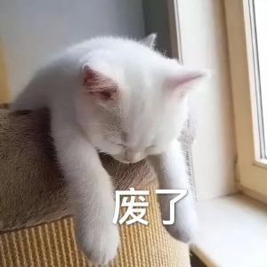 猫咪出现的这个症状，一般会有这些原因