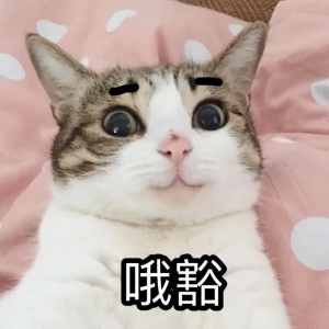 猫咪出现的这个症状，一般会有这些原因