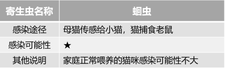 猫咪到底应该怎么驱虫？总结出性价比最高的驱虫方法