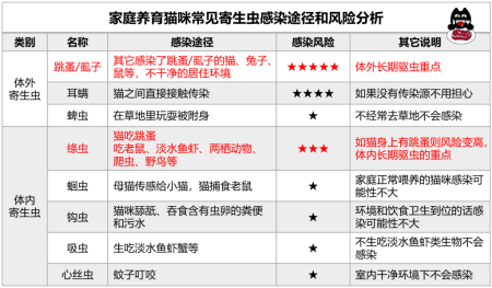 猫咪到底应该怎么驱虫？总结出性价比最高的驱虫方法