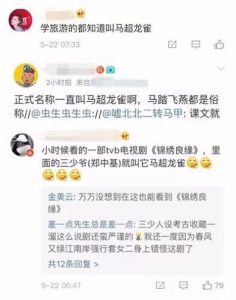 马踏飞燕说法为什么不对?马超龙雀是什么意思?