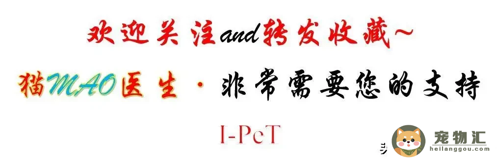 狗狗身上先红色然后变成黑色斑点（狗狗身上出现黑色点点）