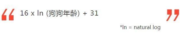 狗狗年龄换算新公式：快速计算你家狗狗的真实年龄