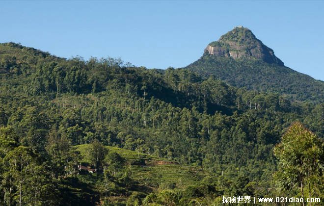 世界上十大净化心灵的旅游地 印度大金庙具有宗教感