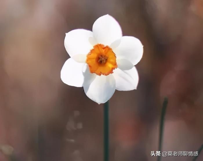 女人出轨后还能挽回吗女人出轨的四个真相