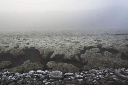 伤如之何？沈阳必去的十大景点：张帅府上榜，沈阳故宫居第二