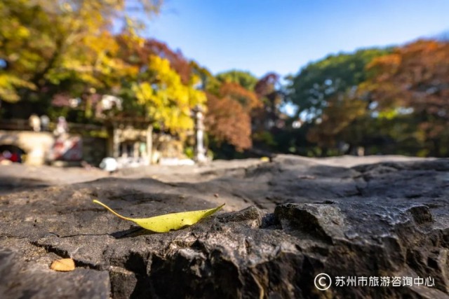 嗣音？文旅丨把七里山塘都走完，才算会玩！