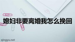 颜如：媳妇非要离婚我怎么挽回