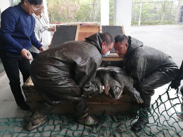 某老师给其学生的高考的蒙题技术