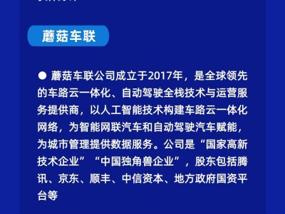 小米SUV路试谍照曝光！雷军放大招，难道真是“法拉利”级体验？