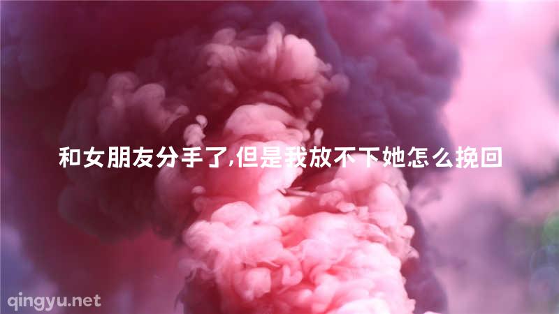 和女朋友分手了,但是我放不下她怎么挽回