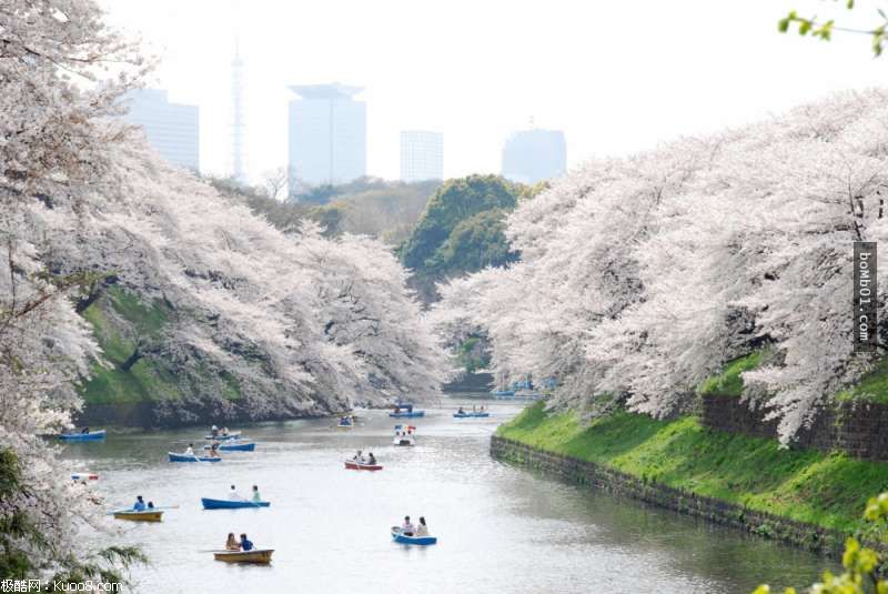 埃及出土一座五千年前啤酒厂 可能是目前已知最古老