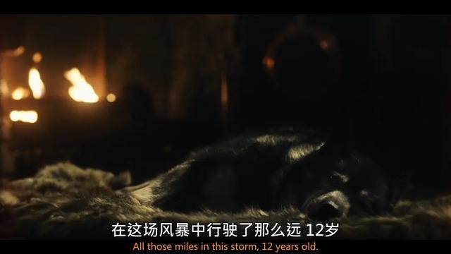 电影灵魂其实是画面，《多哥》通过影调，表现人与动物的坚持