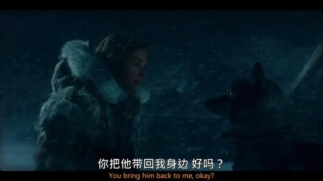 电影灵魂其实是画面，《多哥》通过影调，表现人与动物的坚持