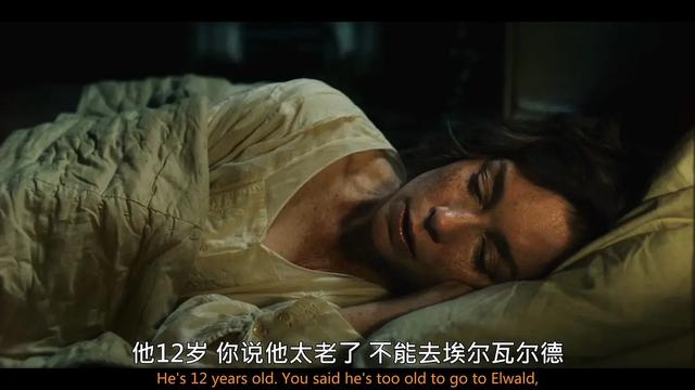 电影灵魂其实是画面，《多哥》通过影调，表现人与动物的坚持