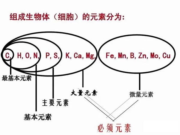 硅基生物是什么意思,硅基生物和碳基生物的区别是什么