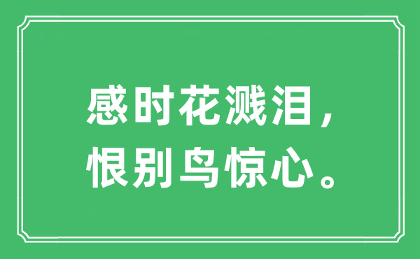 “感时花溅泪，恨别鸟惊心”是什么意思,出处及原文翻译