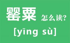 罂粟怎么读拼音是什么？罂粟是什么？罂粟长什么样？