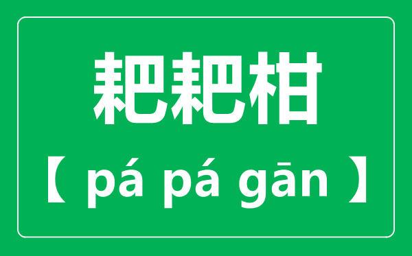 耙耙柑怎么读,耙耙柑念pa还是ba,耙耙柑和橘子的区别是什么