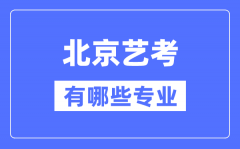 北京艺考有哪些专业？北京艺术统考选什么专业？