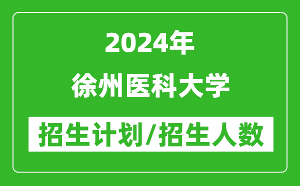 2024年徐州医科大学各省招生计划及各专业招生人数是多少