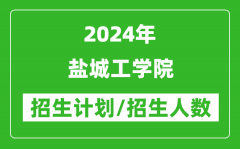 2024年盐城工学院各省招生计划及各专业招生人数是多少？