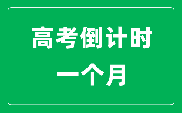 高考倒计时一个月该怎么学,高考最后30天攻略