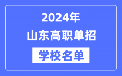 2024年山东高职单招学校名单一览表