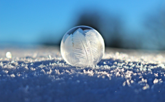 为什么雪是白色的而冰是透明的？雪花和冰的区别是什么？