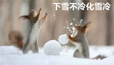 下雪不冷化雪冷