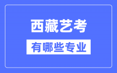 西藏艺考有哪些专业？西藏艺术统考选什么专业？