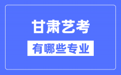 甘肃艺考有哪些专业？甘肃艺术统考选什么专业？