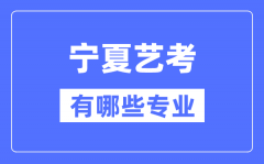 宁夏艺考有哪些专业？宁夏艺术统考选什么专业？