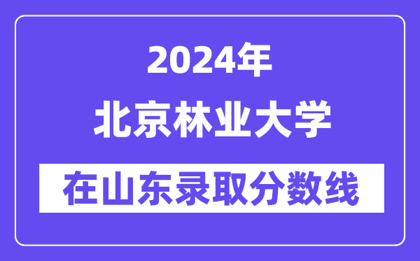 北京林业大学2024年在山东录取分数线一览表（2025年参考）