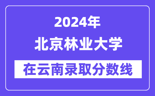 北京林业大学2024年在云南录取分数线一览表（2025年参考）