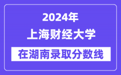 上海财经大学2024年在湖南录取分数线一览表（2025年参考）