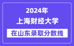 上海财经大学2024年在山东录取分数线一览表（2025年参考）