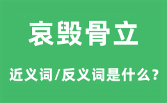 哀毁骨立的近义词和反义词是什么？哀毁骨立是什么意思?