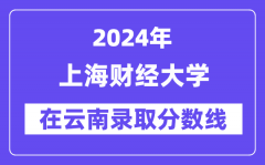 上海财经大学2024年在云南录取分数线一览表（2025年参考）