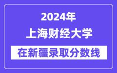 上海财经大学2024年在新疆录取分数线一览表（2025年参考）