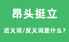 昂首挺立的近义词和反义词是什么？昂首挺立是什么意思?