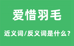 爱惜羽毛的近义词和反义词是什么？爱惜羽毛是什么意思?