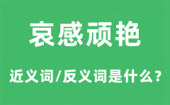 哀感顽艳的近义词和反义词是什么？哀感顽艳是什么意思?